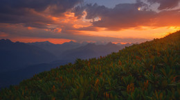 Waiting for the Sunrise / ...