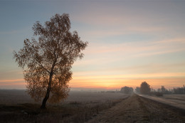 Herbst / ***