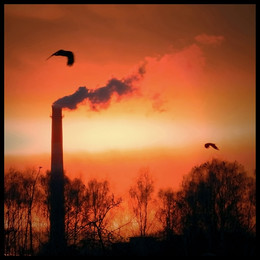 "Tailwind" / ***