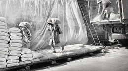 Cement / ***