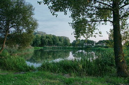An evening walk / ***