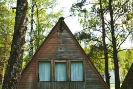 In forest / ***