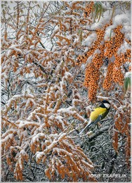 Der erste Test des Winters / 29.11.15