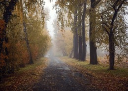 Wet autumn. / ***