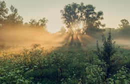 Dawn song of the angels / http://www.youtube.com/watch?v=JUJpuyTBIvs