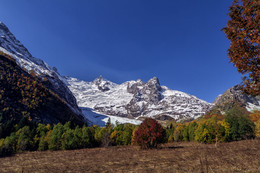 Autumn and winter .... / ***