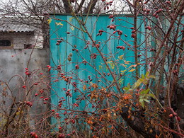 &nbsp; / [img]http://s010.radikal.ru/i313/1512/58/7f872abcf268.jpg[/img]
[img]http://s011.radikal.ru/i318/1512/fd/1dc75fa4d119.jpg[/img]
[img]http://s009.radikal.ru/i307/1512/03/e3355091164b.jpg[/img]
[img]http://i004.radikal.ru/1512/08/b385a1e72b82.jpg[/img]
[img]http://s017.radikal.ru/i417/1512/54/40d0a07cc88f.jpg[/img]
