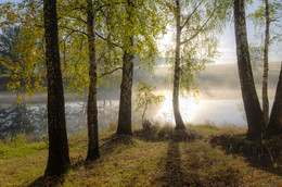 Dawn, Fog / ***