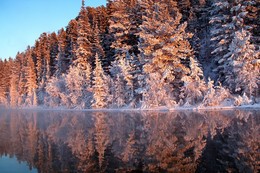 Mirror winter / ***