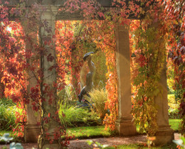 Herbst in Peterhof / ***