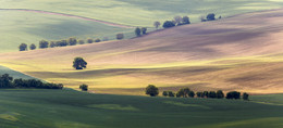 Mährischen Landschaft / ***