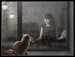 Regen / ***
