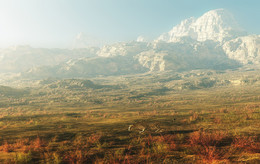 Walking in the foothills ... / ***