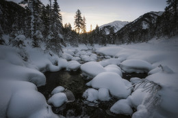 In der Taiga / ***