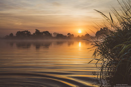 Early morning. / ***