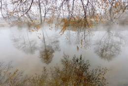 Autumn Changeling ... / ***