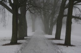 This winter ... / ***