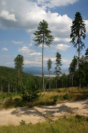Pirin , Bulgarien - 2 / ***