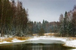 the unnamed tributary Tarussy / ***