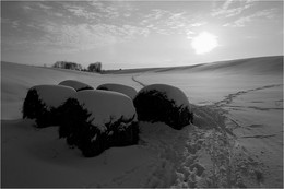 Tumbleweed / ***