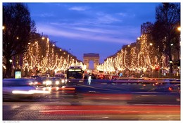 Tumbleweed - Field (Paris. Champs Elysees) / ***
