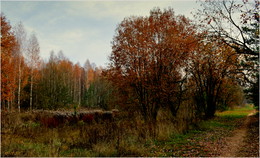 by autumn path / ***