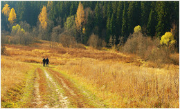 Auf dem Feld / ***