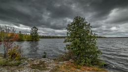  / Moriss Isl.
Transparent Autumn