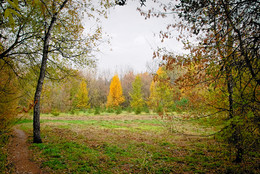 Silent Fall / ***