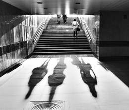 A game of shadows / ***