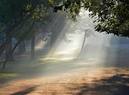 Pro morning light / ***