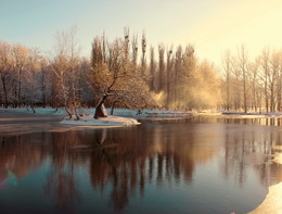 December / ***