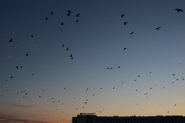 over the horizon / ***