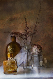 *herbarium* / ***