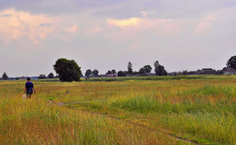 in the village in summer / ***