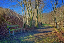  / Sitzbank vermoost am Wanderweg der an der Aare entlang führt. Aufnahme in Mühleberg BE.