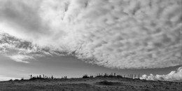 Sky close / ***