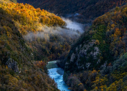 Balance fog. / ***
