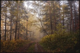 Autumn. / ***