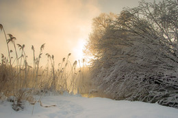 Dawn, fog, frost .. / ***