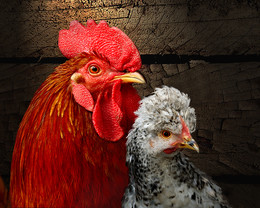 Sweet couple. / ***