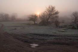 Frosty dawn. / ***