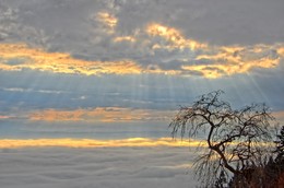  / Herrliches Schauspiel heute Sonntag über dem Bielersee um ca. 14:00 Uhr. Das Foto entstand auf der Terrasse in Magglingen. Unten dei Nebeldecke über dem Bielersee bis nach Neuchatel und oben die hereinbrechenden Wolken mit der kämpfenden Sonne. So eine Stimmung erlebt man nicht jeden Tag.