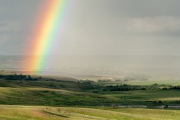 Nach dem Regen / ***