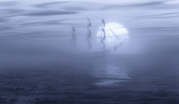 Sun in the sails ... / ***