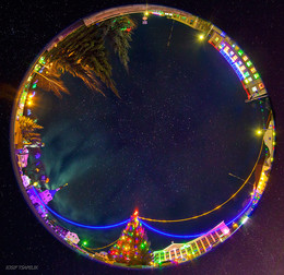 Starlight night / 30.12.15