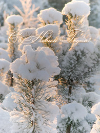 Frohes Neues Jahr 2016! / ***