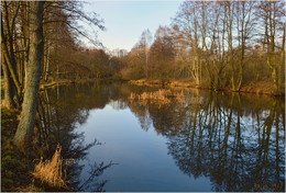 Erwartung des Winters / ***