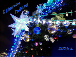 Happy New Year! / 2016