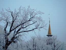a little frost / ------------